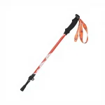 YOTO L002 Professional Children's Trekking Pole