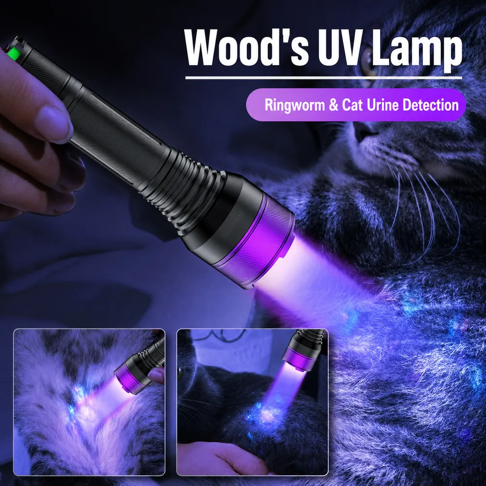 Powerful Mini Purple UV Flashlight & Torch 365nm UV Led Black Light